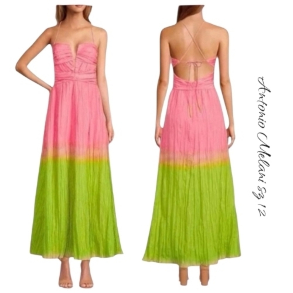 Antonio Melani Seraphina Ombre Maxi Dress Pink Green Sweetheart A-Line 12